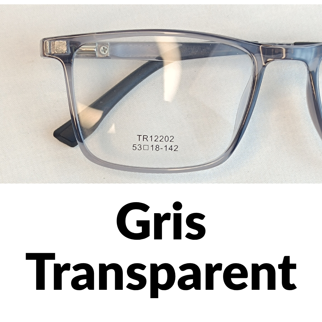 3200 DA رمادي شفاف / Gris Transparent 